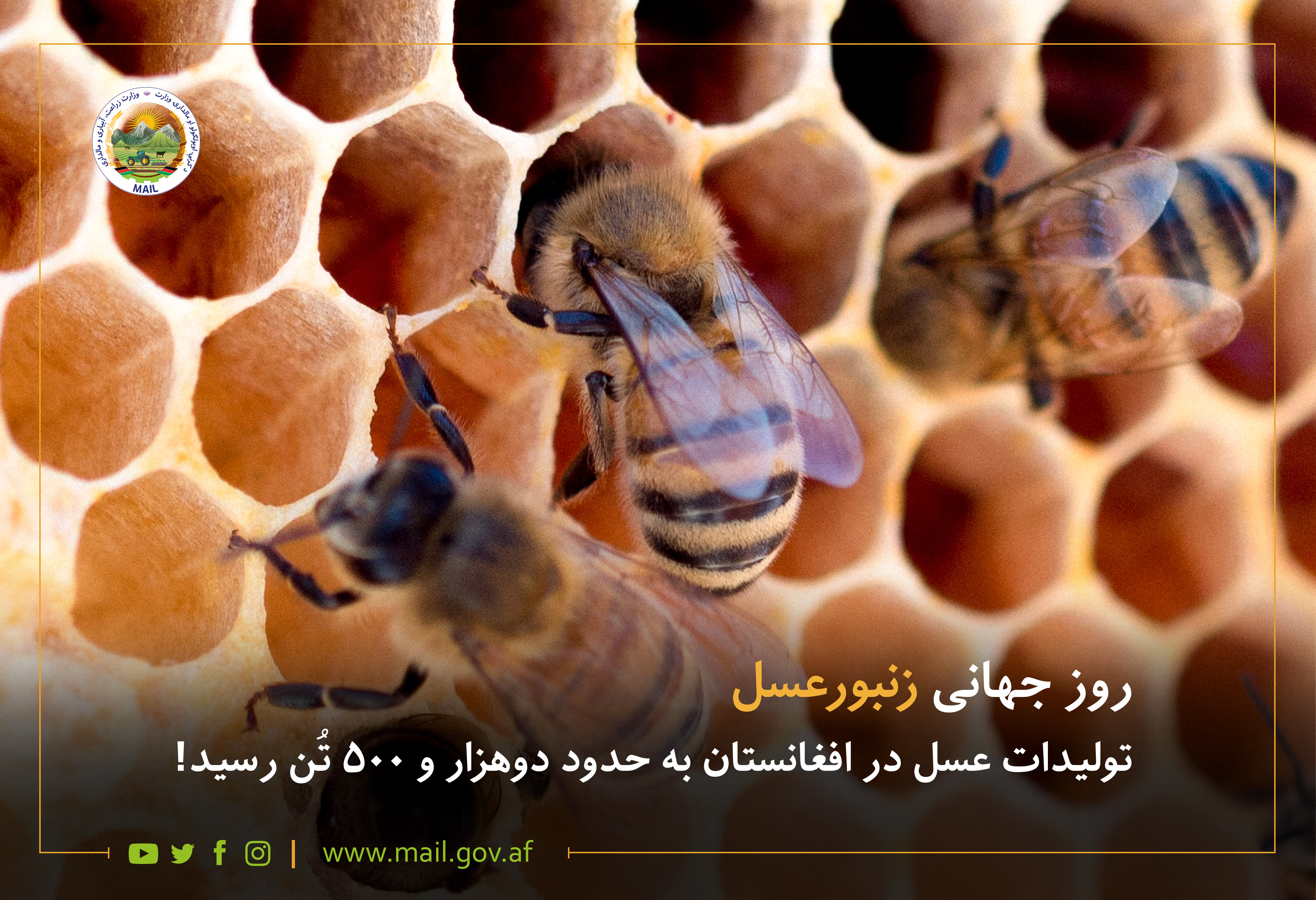 روز جهانی زنبورعسل؛ برداشت دوهزار و پنج‌‌صد تُن عسل از کندوهای عسل