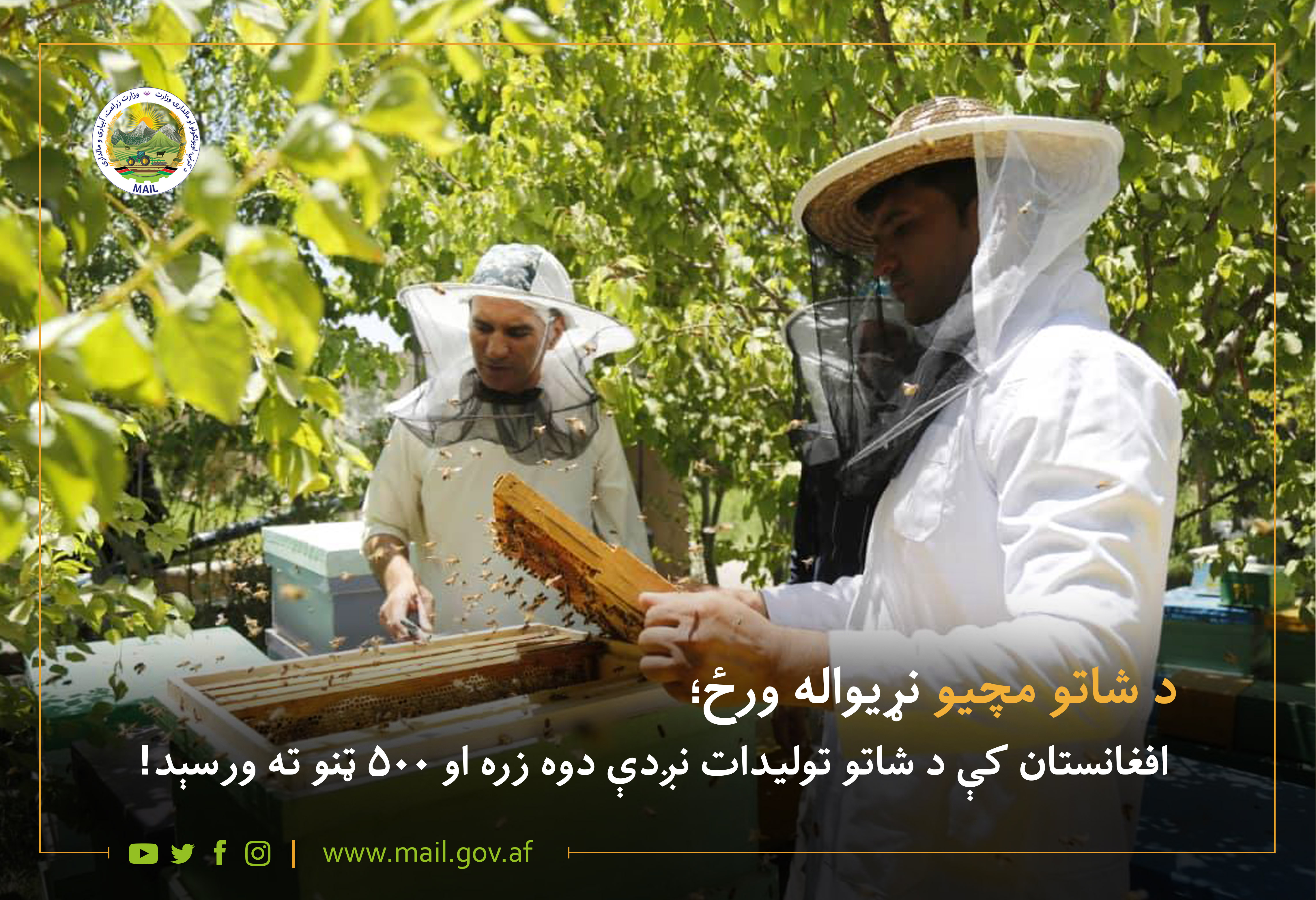 د شاتو مچیو نړیواله ورځ؛ د شاتو له ټمبګو دوه زره او ۵۰۰ ټنه شات راټول شوې