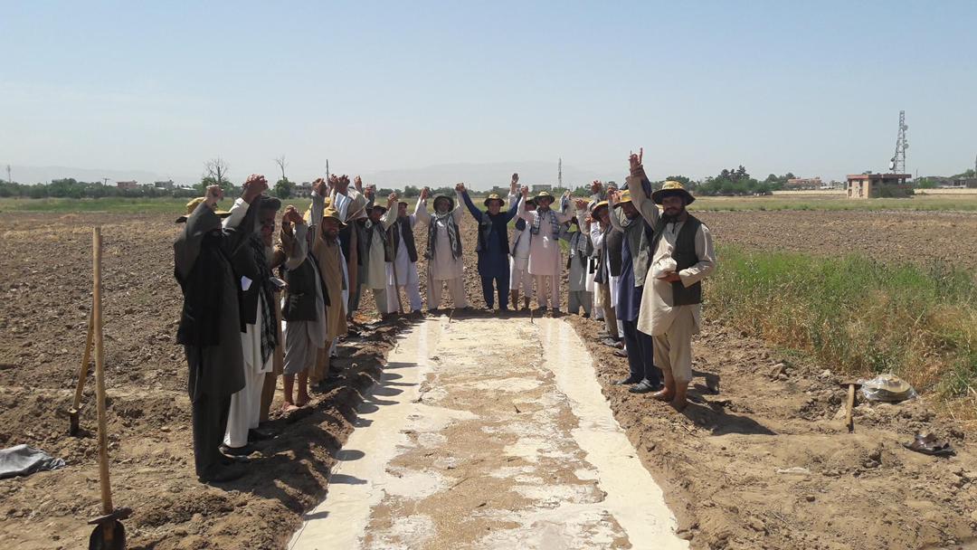 Sar-e-pol farmers received three thousand kilos of paddy seeds