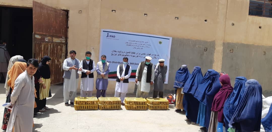 344 Poor Women Received Small Poultry Farms in Baghlan