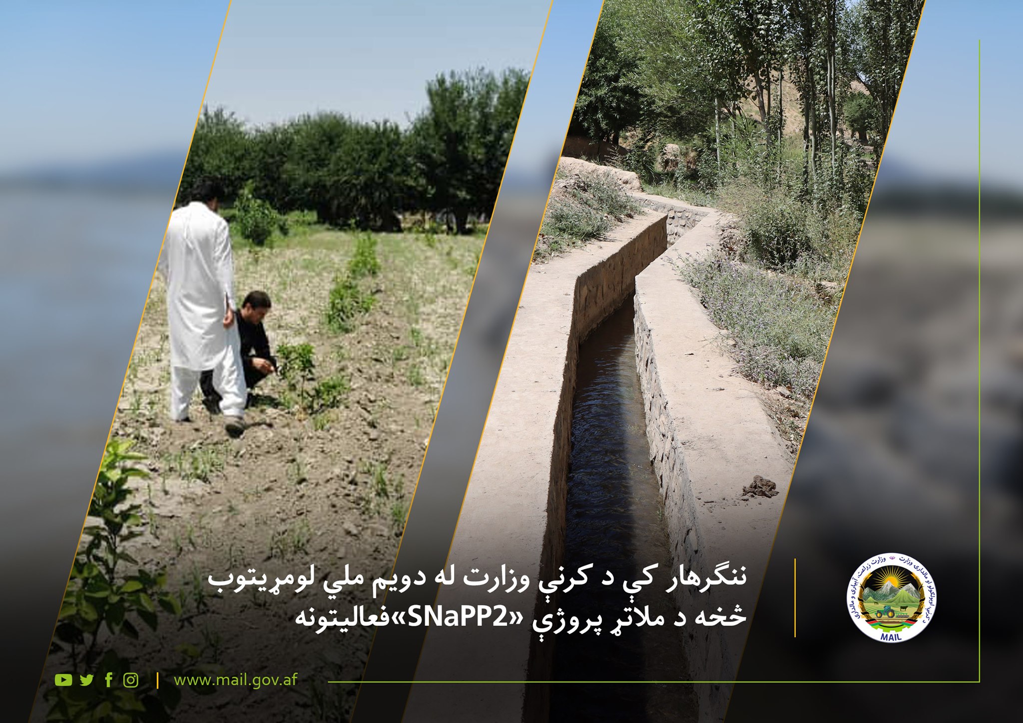 ننګرهار کې د کرنې وزارت له دویم ملي لومړیتوب څخه د ملاتړ پروژې «SNaPP2»فعالیتونه