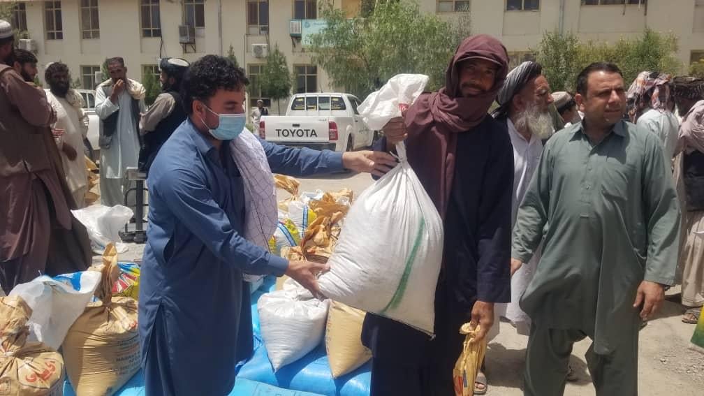 کندهار کې د پنبې ۷۰ ننداريزې کروندې جوړېږي