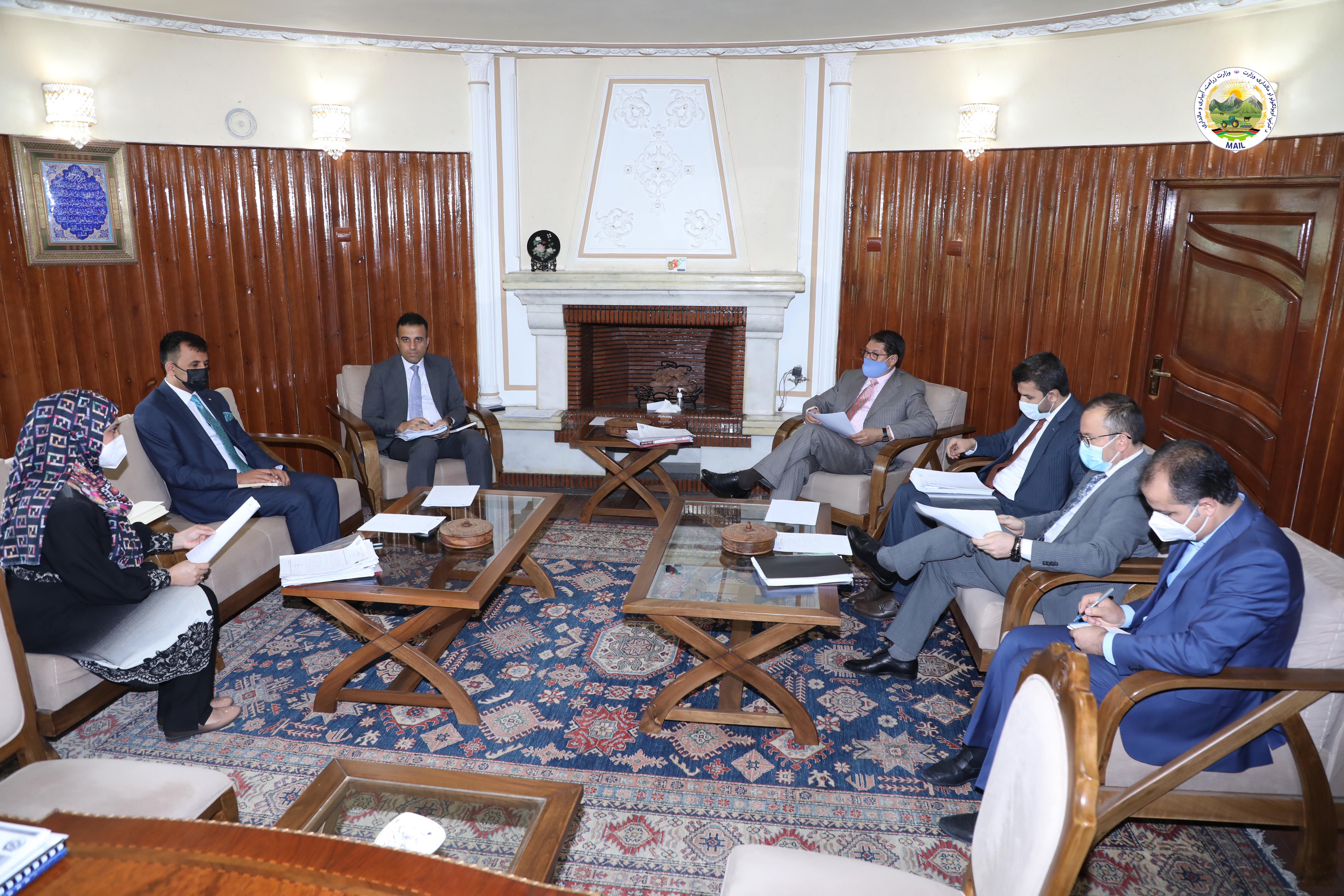 MAIL minister stresses on providing timely services and implementation of the projects