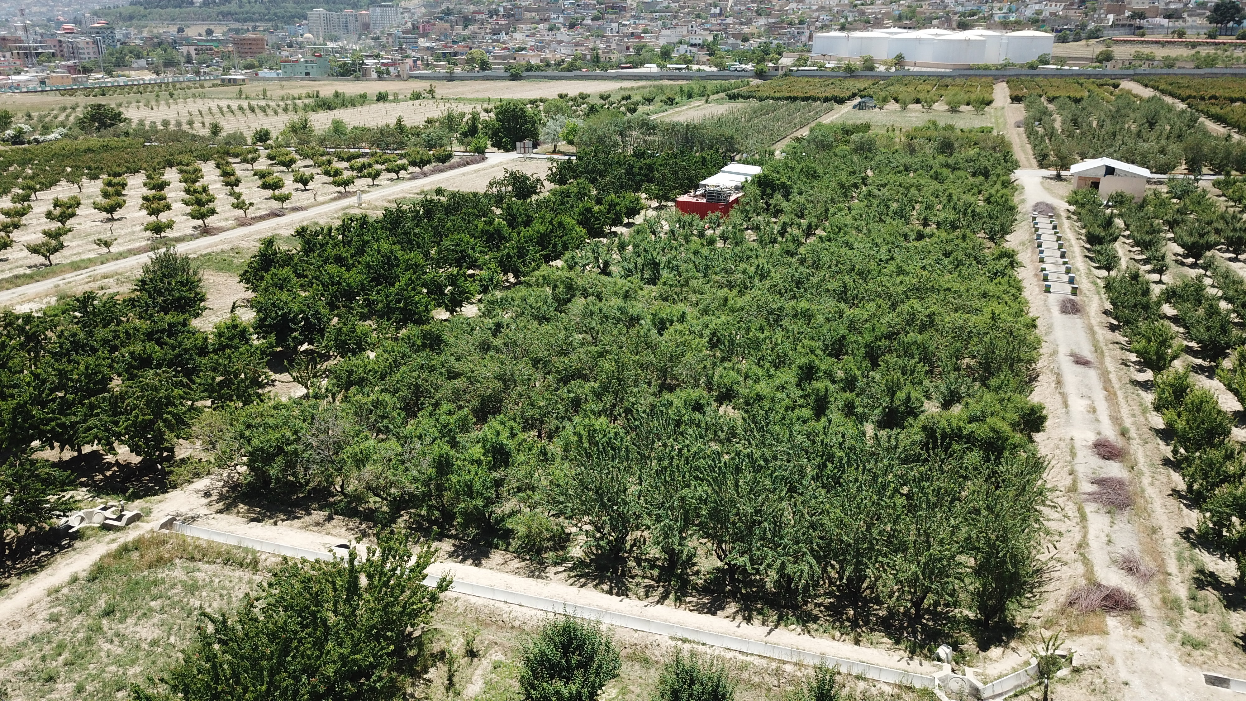 فارم بادام‌باغ، بهترین مکانی برای آموزش دهقانان و تحقیق عملی محصلین