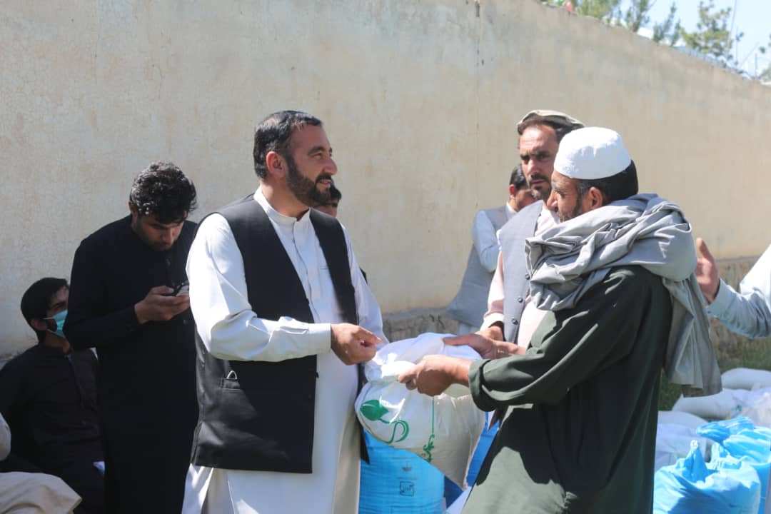 پکتيا کې د تېلي نباتاتو ۵۰ ننداريزې کروندې جوړېږي