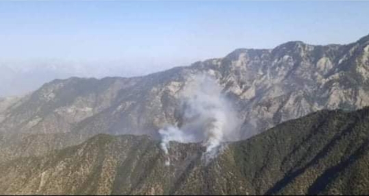 MAIL Minister’s insistence to immediately constrain fires in Nurgram forests of Nuristan