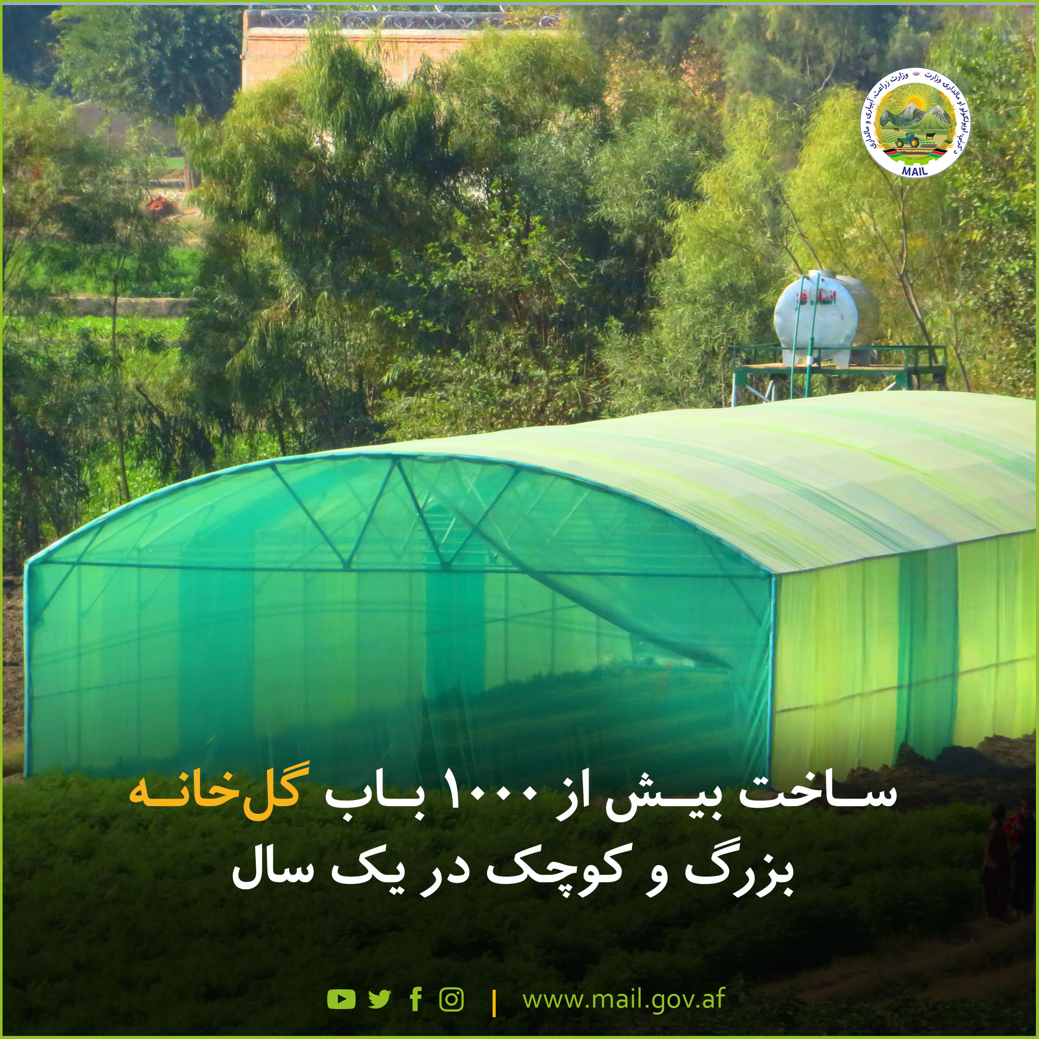 ساخت بیش از ۱۰۰۰ باب گل‌خانه بزرگ و کوچک در یک سال