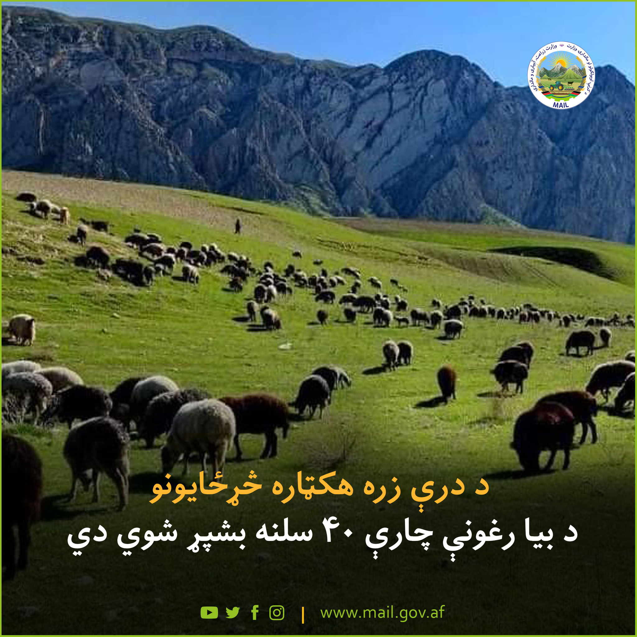 د درې زره هکټاره څړځایونو د بیا رغونې چارې ۴۰ سلنه بشپړ شوي دي