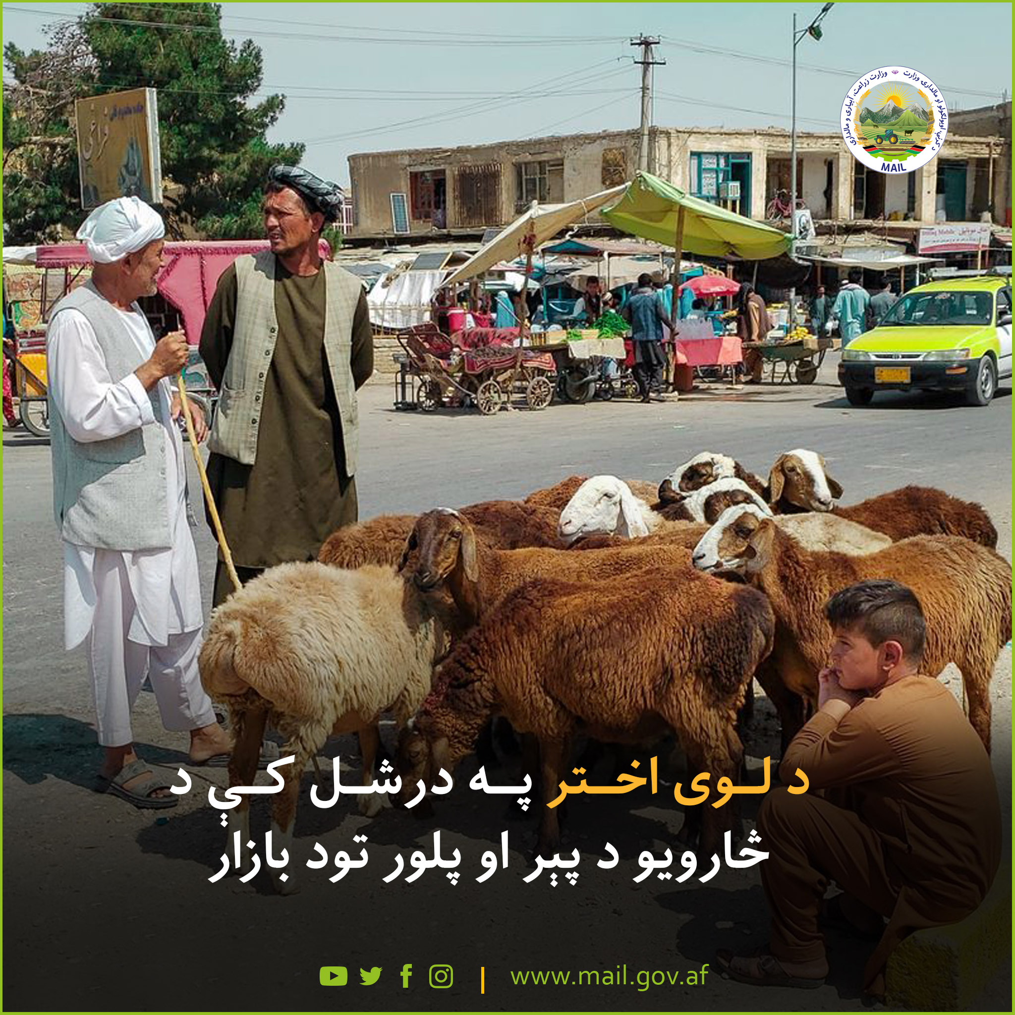 د لوی اختر په درشل کې د څارویو د پېر او پلور تود بازار