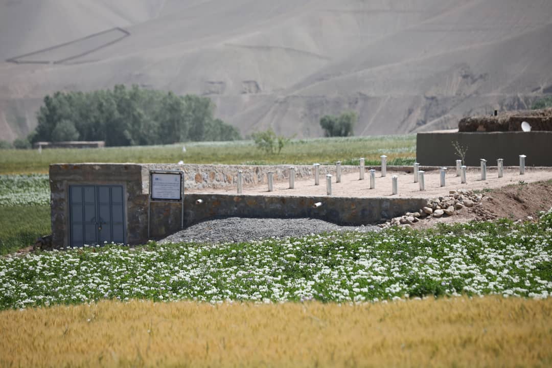 فصل گل کچالو، فصل زیبایی طبیعت بامیان