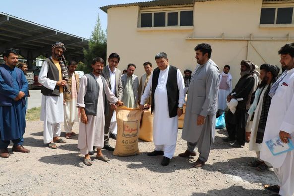 190 farmers Receive Chemical fertilizer in Herat