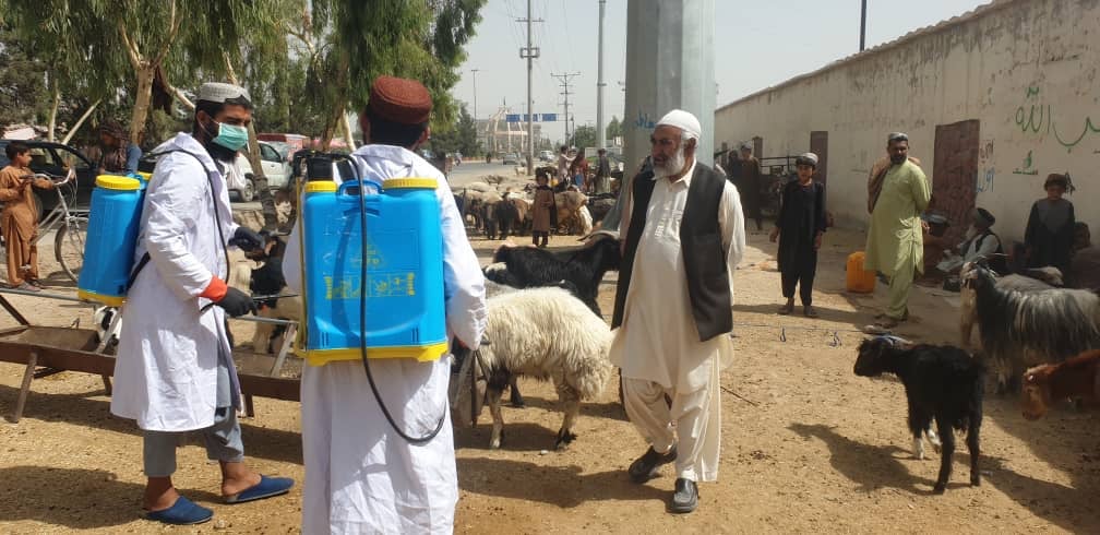 هلمند کې د کانګو تبې د مخنیوی په پار کمپاین پیل شو