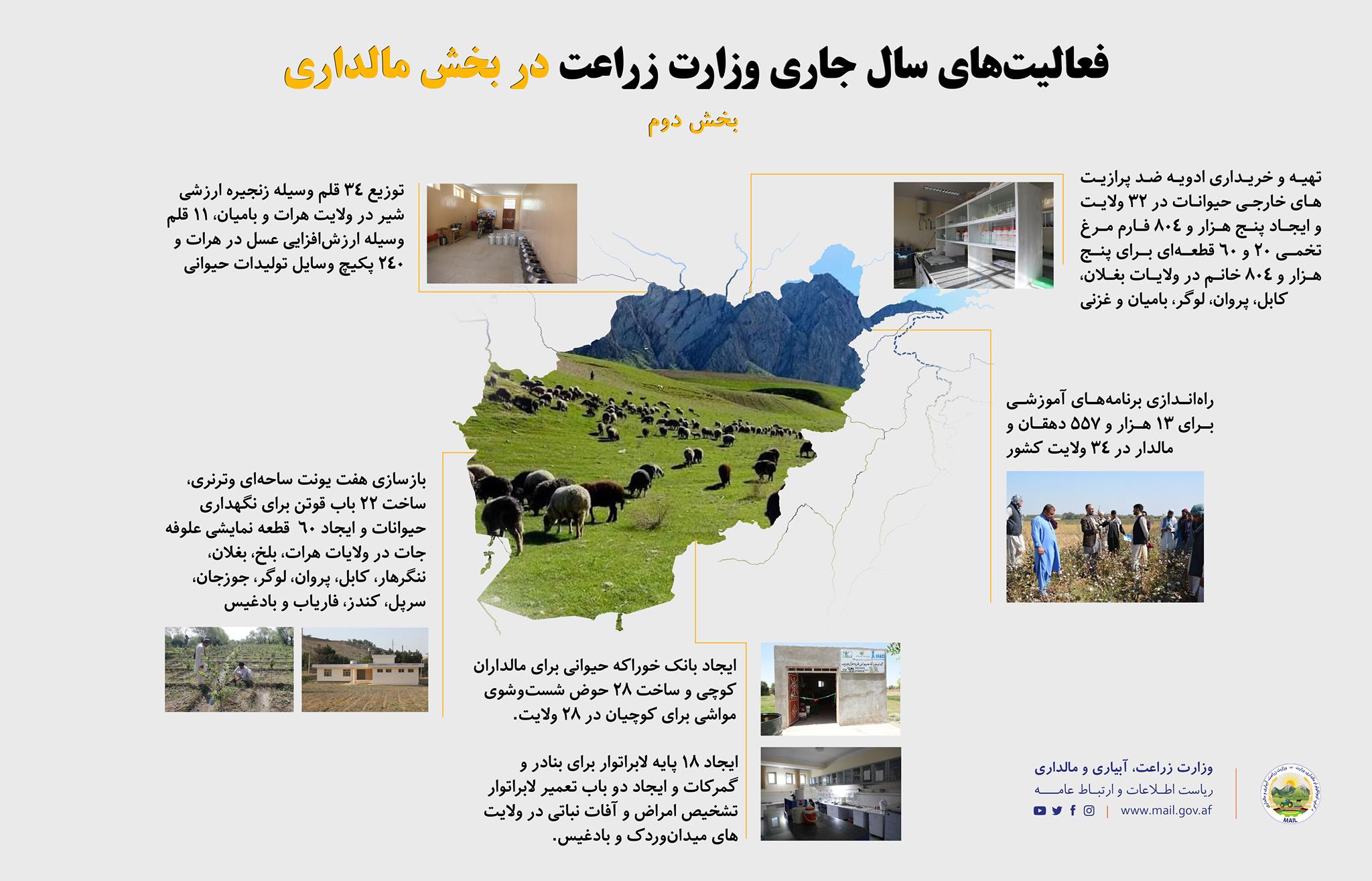 فعالیت‌های سال جاری وزارت زراعت در بخش مالداری بخش دوم