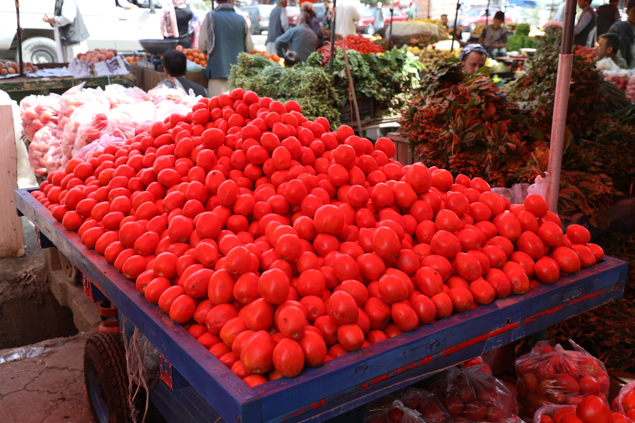 بادنجان رومی وطنی؛ سالم و پرمزه