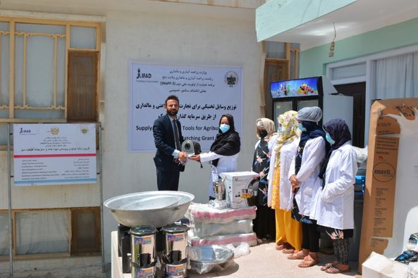 Three vegetable and fruit processing centers equipped in Balkh