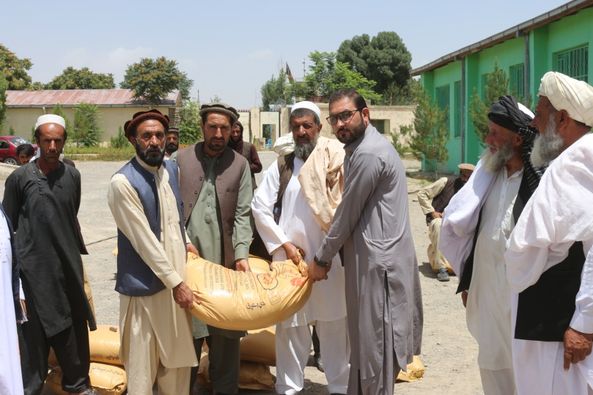 پکتيا کې پر يو شمېر بزګرانو کيمياوي سرې ووېشل شوې