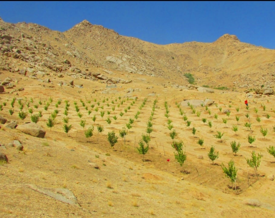 The first phase of Daikundi Valley Natural Resources Management Project completed