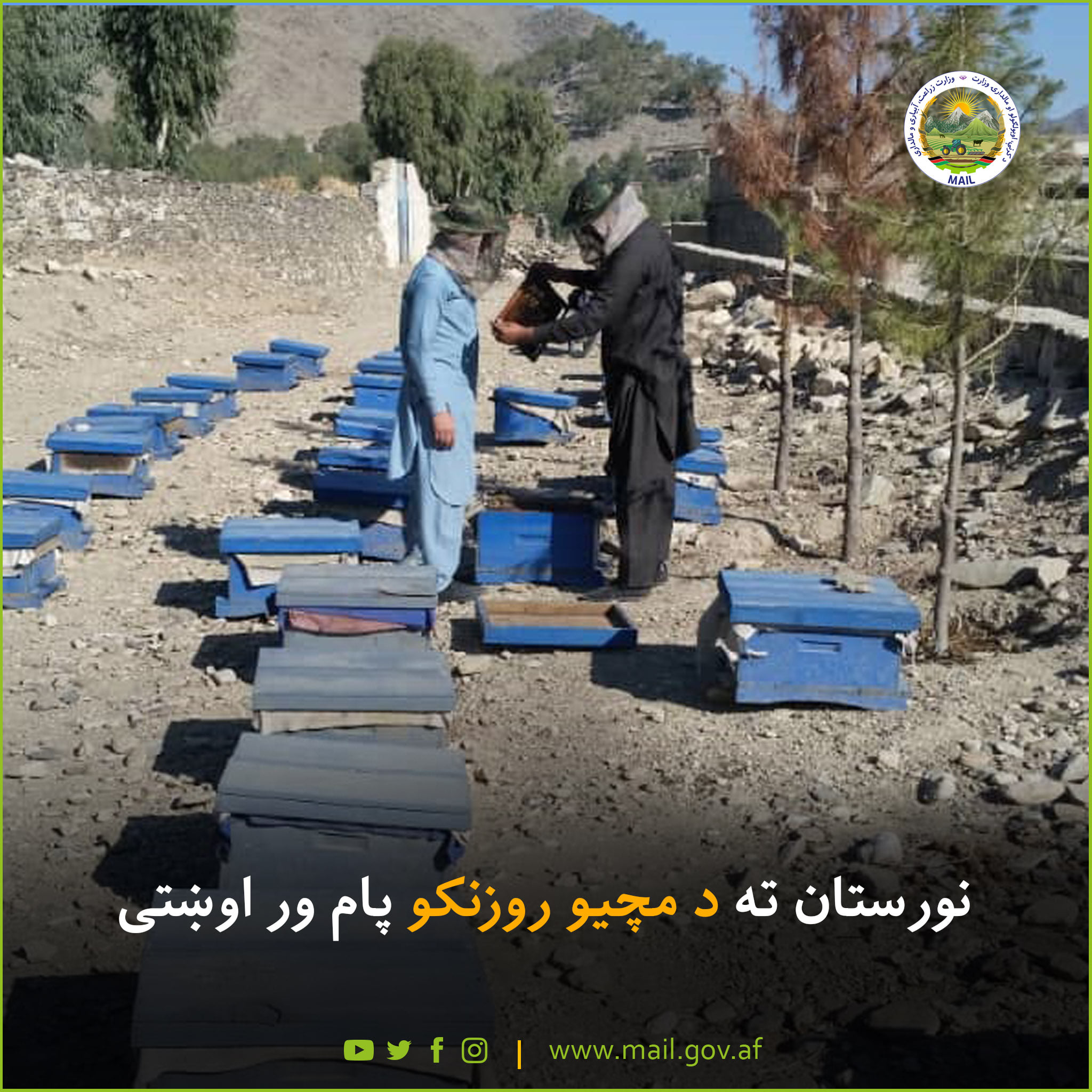 نورستان ته د مچیو روزنکو پام ور اوښتی