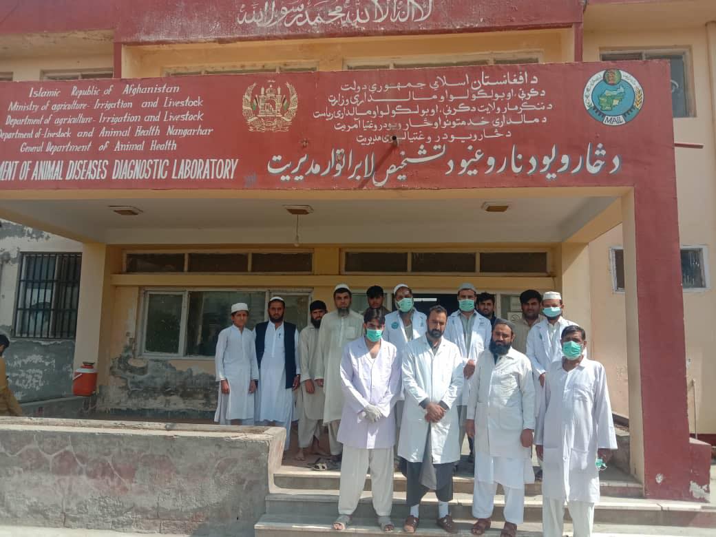 معاون ریاست زراعت ننگرهار: ما با لابراتوار تشخیص بیماری های حیوانات همکاری همه‌جانبه می‌نماییم