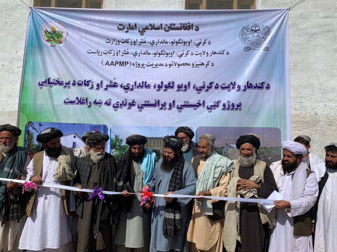 معین آبیاری و منابع طبیعی وزارت زراعت به قندهار سفر کرد