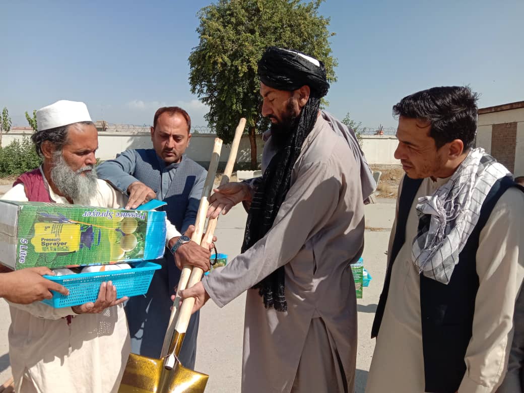 د غنمو اګرانومیکي او کورنیو باغچو د کرنیزو عملیو دوه ورځنۍ روزنيز پروګرام پيل شو