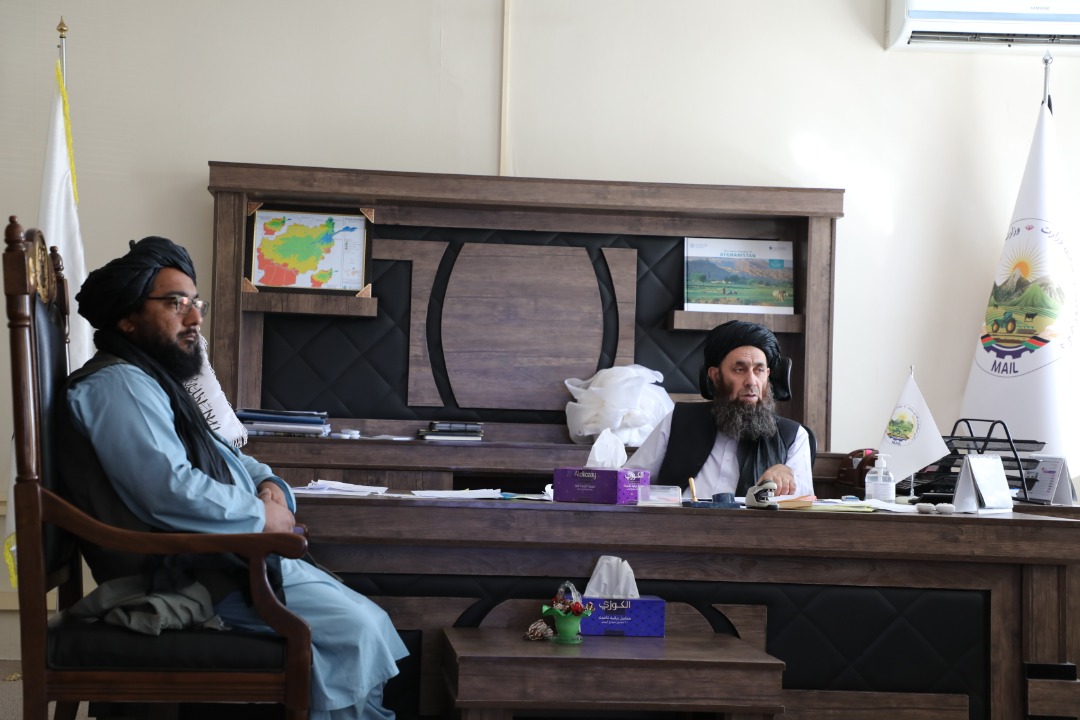 دکرنې او مالدارۍ مرستيال د مالدارۍ ځنځيري ارزښت د پروژې له چارواکو سره وکتل