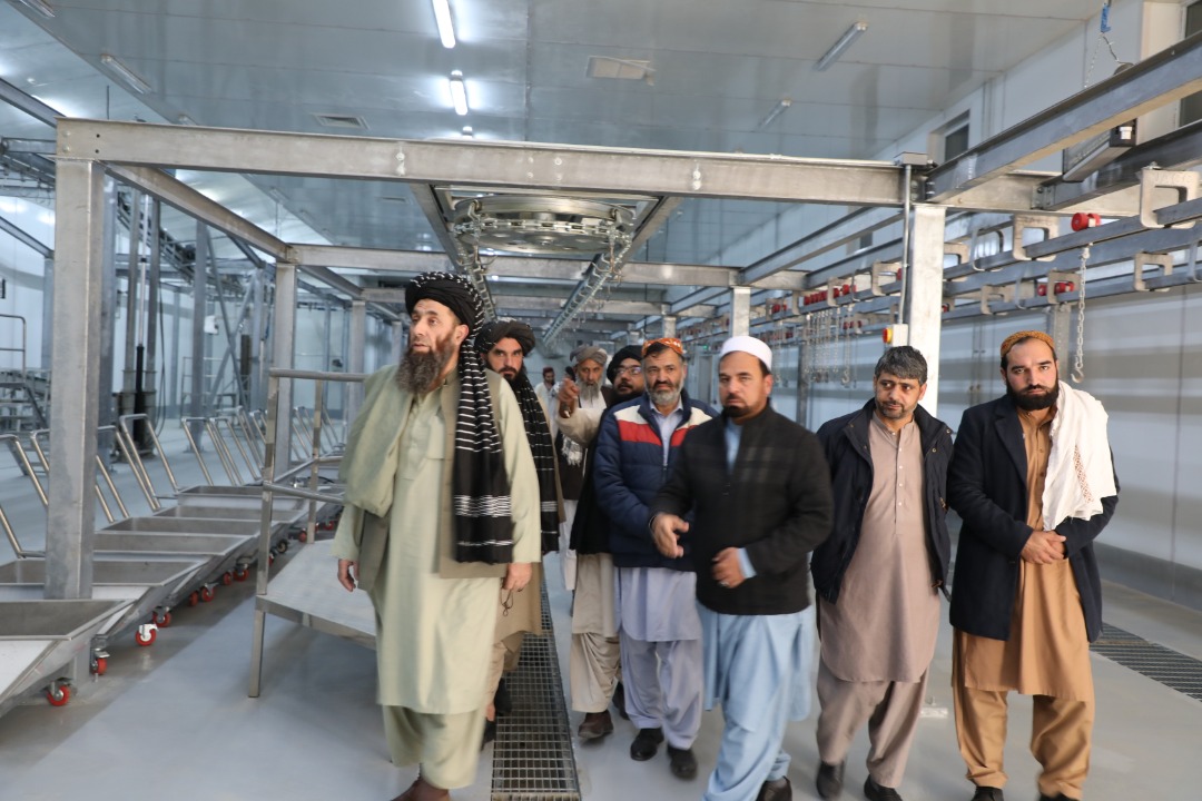 دکرنې وزارت دکرنې او مالدارۍ مرستيال د ريشخور له مسلخ څخه ليدنه وکړه