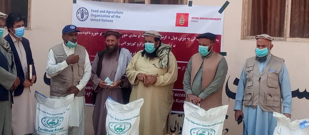 کونړ کې په دوه زره بزګرانو دغنمو د اصلاح شويو تخمونو او کيمياوي سرو د وېشل لړۍ پيل شو