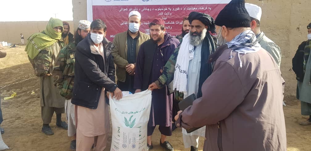 روند توزیع گندم برای یک هزار دهقان در کندز آغاز شد