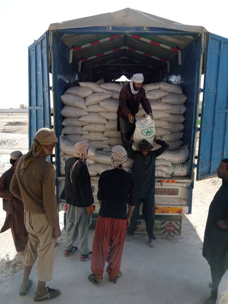 غزني ولایت کې د ناروې کمېټې، خوړو او کرنې نړیوال سازمان په مالي مرسته د اصلاح شويو تخمونو ویش پیل شو