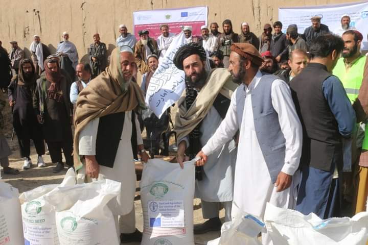 پکتيا ولایت کې  شپږ زره بزګرانو باندي د غنمو اصلاح شويو تخمونو او کيمياوي سرو د ويش لړۍ پيل شوه