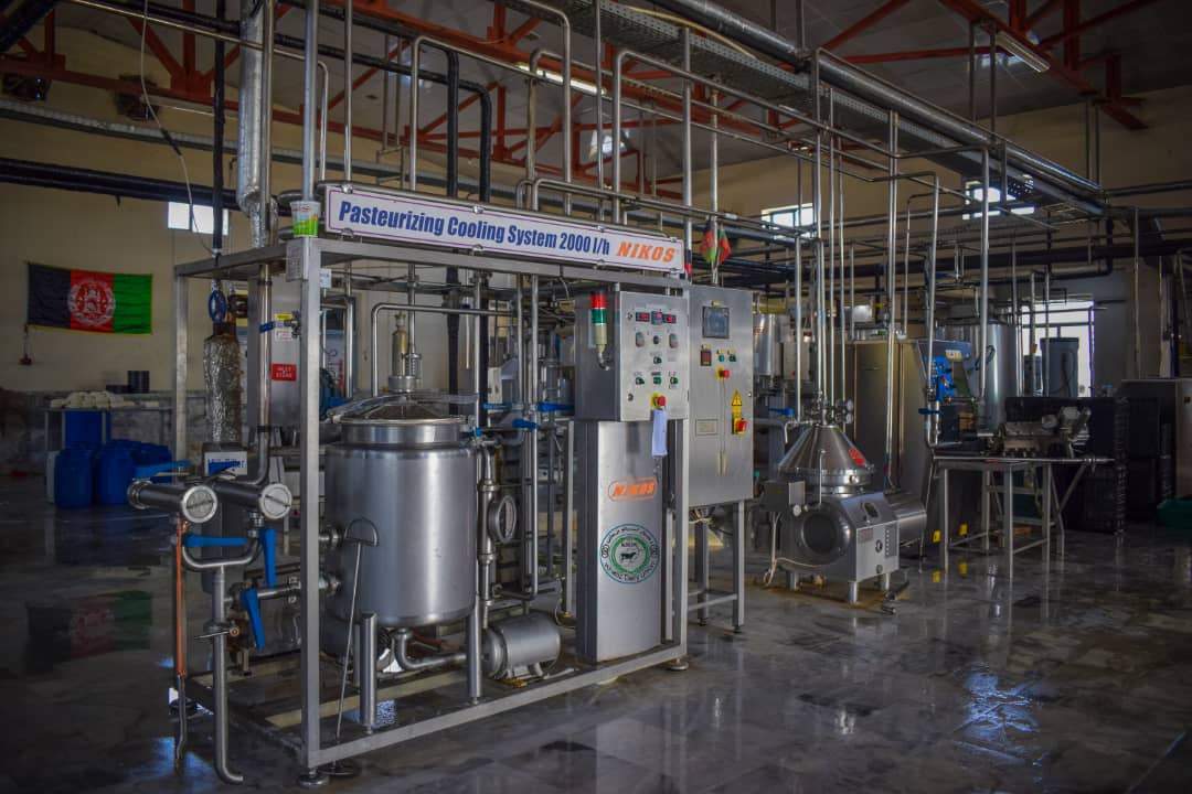 ننګرهار کې د ختیځ لبنیاتو کار خونه د ورځې درې زره او ۵۰۰ کیلوګرامه شېدې پروسیسويران