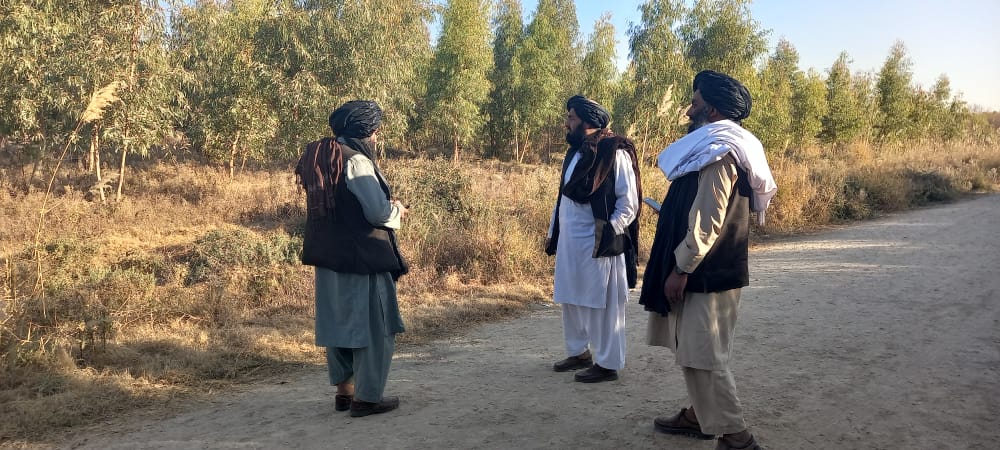 هلمند ولایت د کرنې، اوبولګولو او مالدارۍ رييس د بولان ځنګل څخه لیدنه وکړه