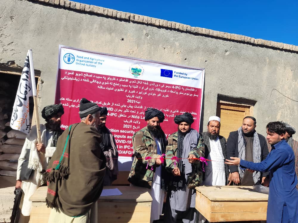 توزیع ۳ هزار بوری تخم اصلاح شده گندم برای دهقانان فاریاب