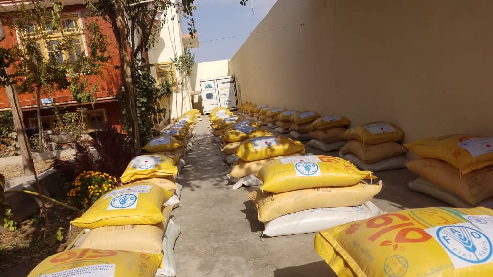 ارزګان کې 1000 بزگرانو ته د غنمو د کرلو بسته مرسته وشوه