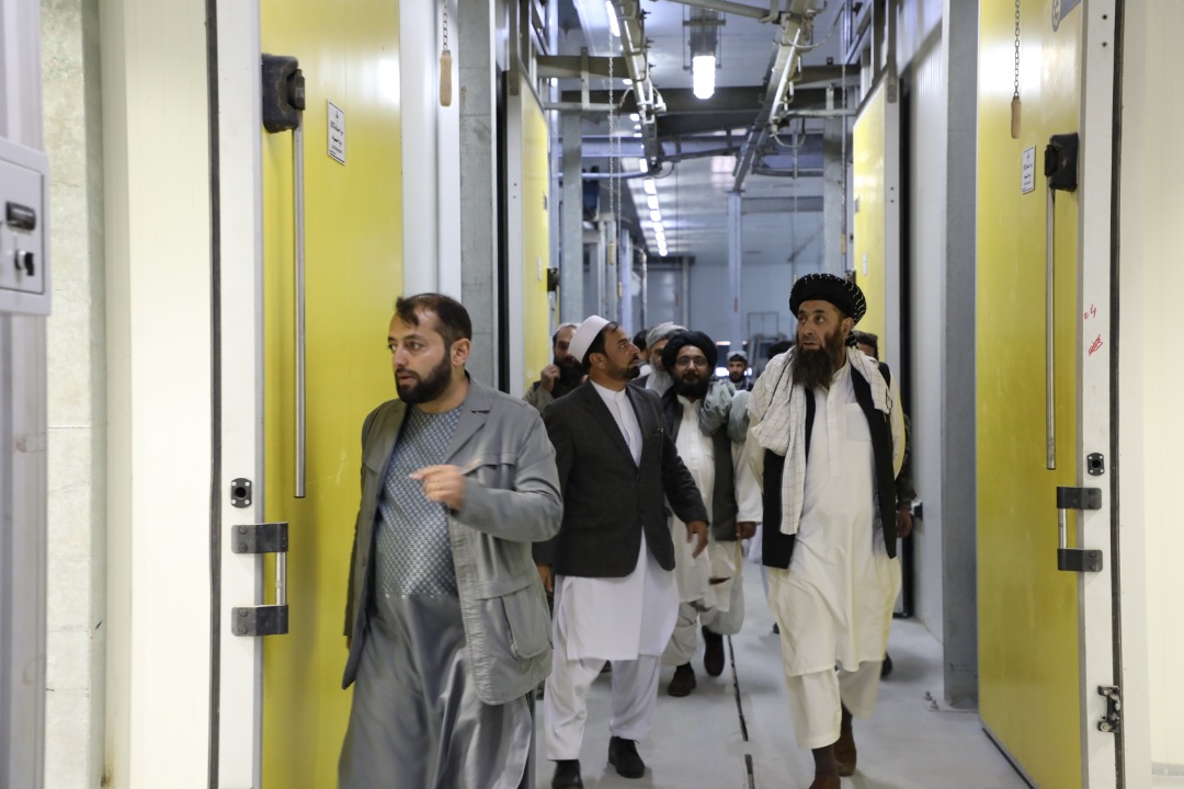 دکرنې وزارت دکرنې او مالدارۍ مرستيال د ريشخور له مسلخ څخه ليدنه وکړه