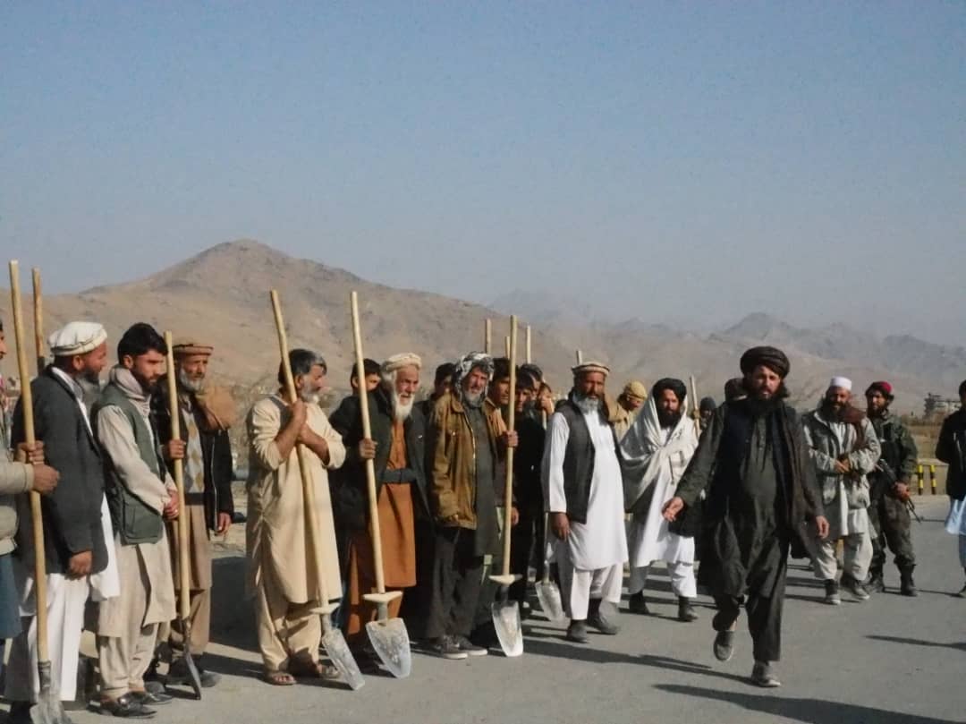 کابل ولایت د کرنې ریاست له لورې ۵ زره او ۲۰۰ کسانو ته د غنمو بدل کې د کار زمېنه برابره شوې