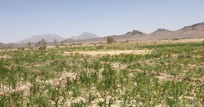 هلمند کې یوشمېر بزګران وروزل شول