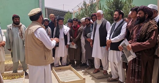 لوګر کې یوشمېر بزګرانو د کرنیزو محصولاتو د بازارموندنې په برخه کې وروزل شول 