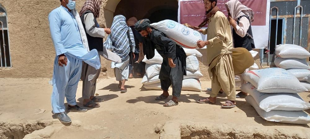 فراه کې پر ۴۷۵مالدارانو د څارویو خوراکي توکي ووېشل شوه