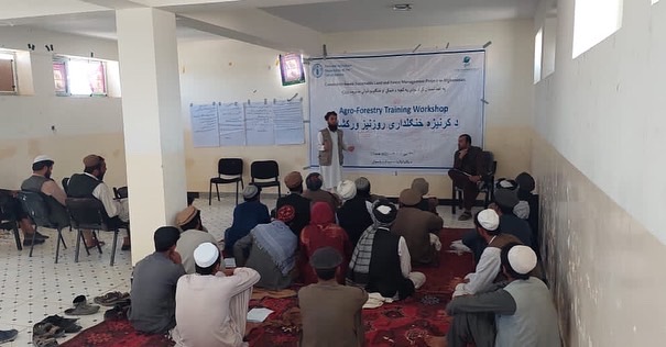 پکتیا کې د ځنګلوالۍ ۳۶ غړي وروزل شول