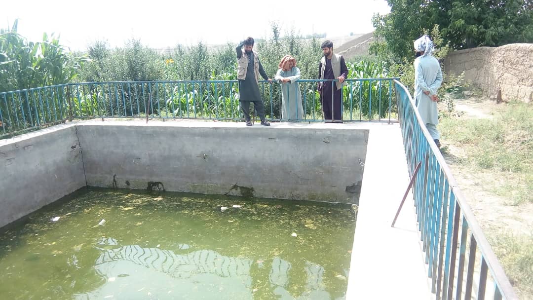 آگاهی‌دهی برای دهقانان و فارم‌داران ماهی  در شکر دره کابل