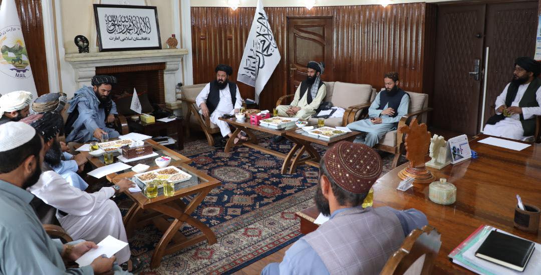 د سوېل ختیځو ولایتونو د زیانمنو خلکو ستونزو ته د رسېدنې په پار هلې ځلې