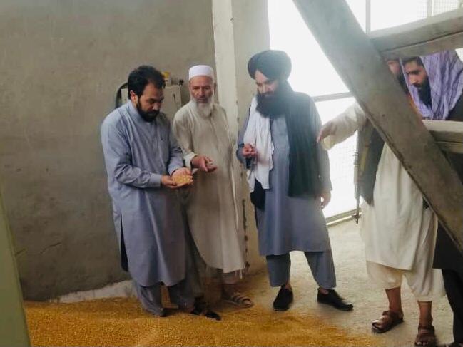 نظارت از  جریان پروسس تخم های بذری در پروان