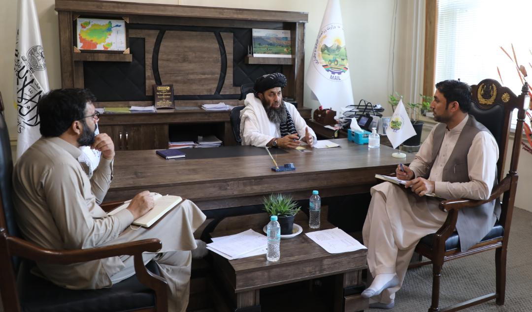 دکرنې وزارت مسلکي مرستيال د افغانستان د کليو د بيارغونې مؤسسې د فعاليتونو راپور واورېد