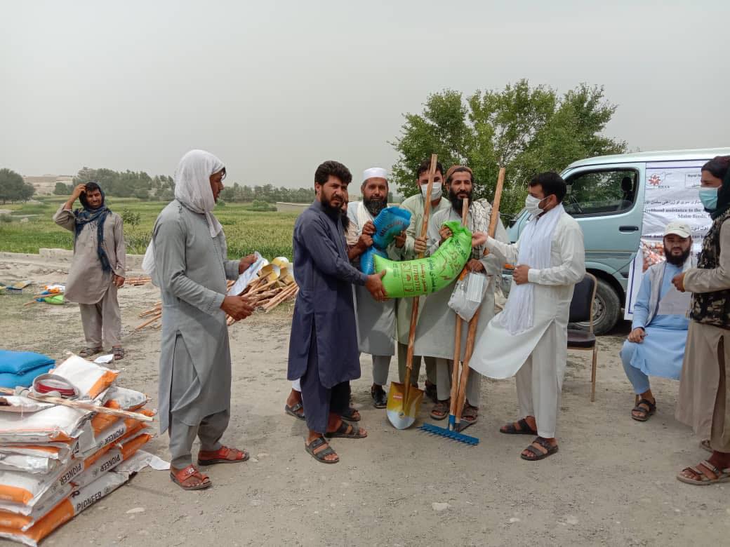 ننګرهار کې په ۵۱۰ بزګرانو د جوارو اصلاح شوي تخمونه او کیمیاوي سرې ووېشل شول