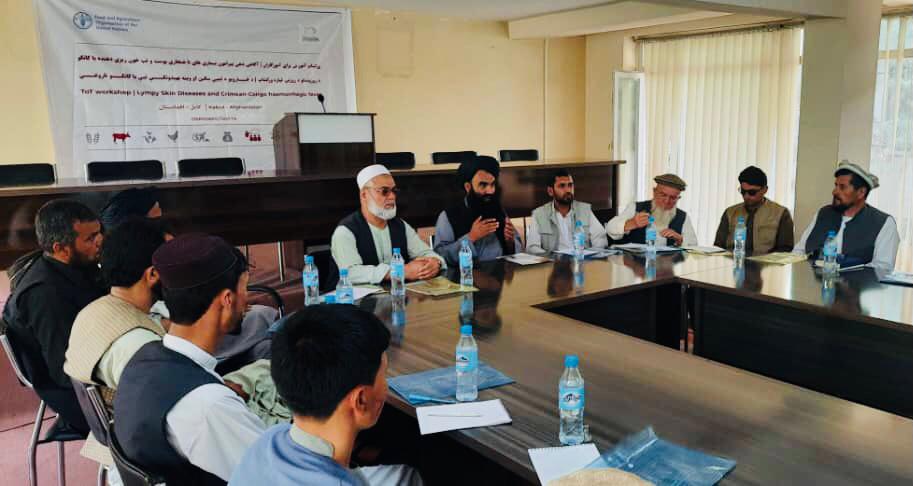 آگاهی دهی در مورد بیماری کانگو