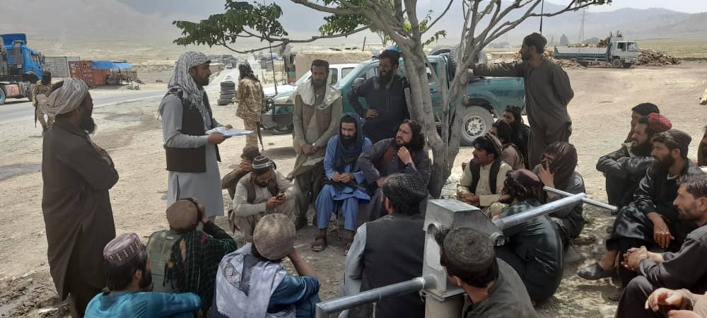 پکتیا کې د ځنګلونو وهنې او د قاچاق د مخنیوي په پار هلې ځلې