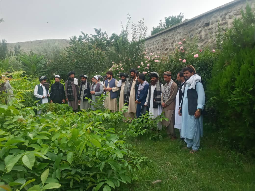 پکتیا: د ځنګلوالۍ ټولنو غړو د خوست او پکتيا له واټرشيډونو څخه ليدنه وکړه