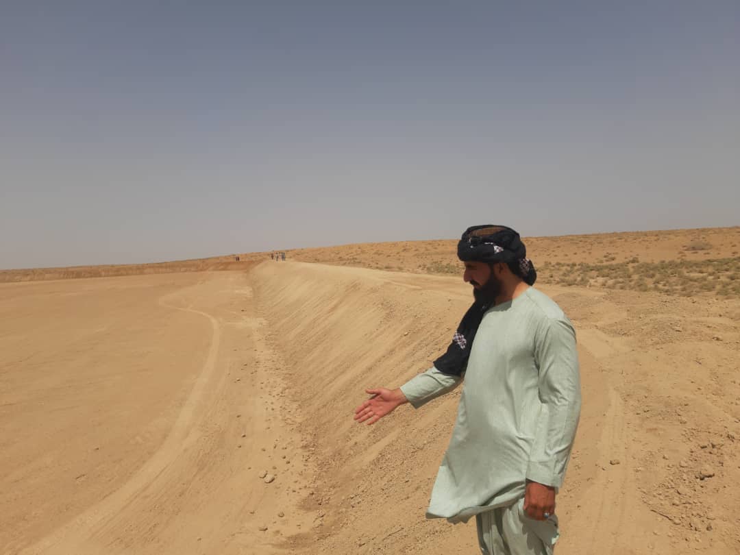 د هلمند د رېګستان سیمه کې د دوو ناورانو د بیارغولو چارې روانې دي